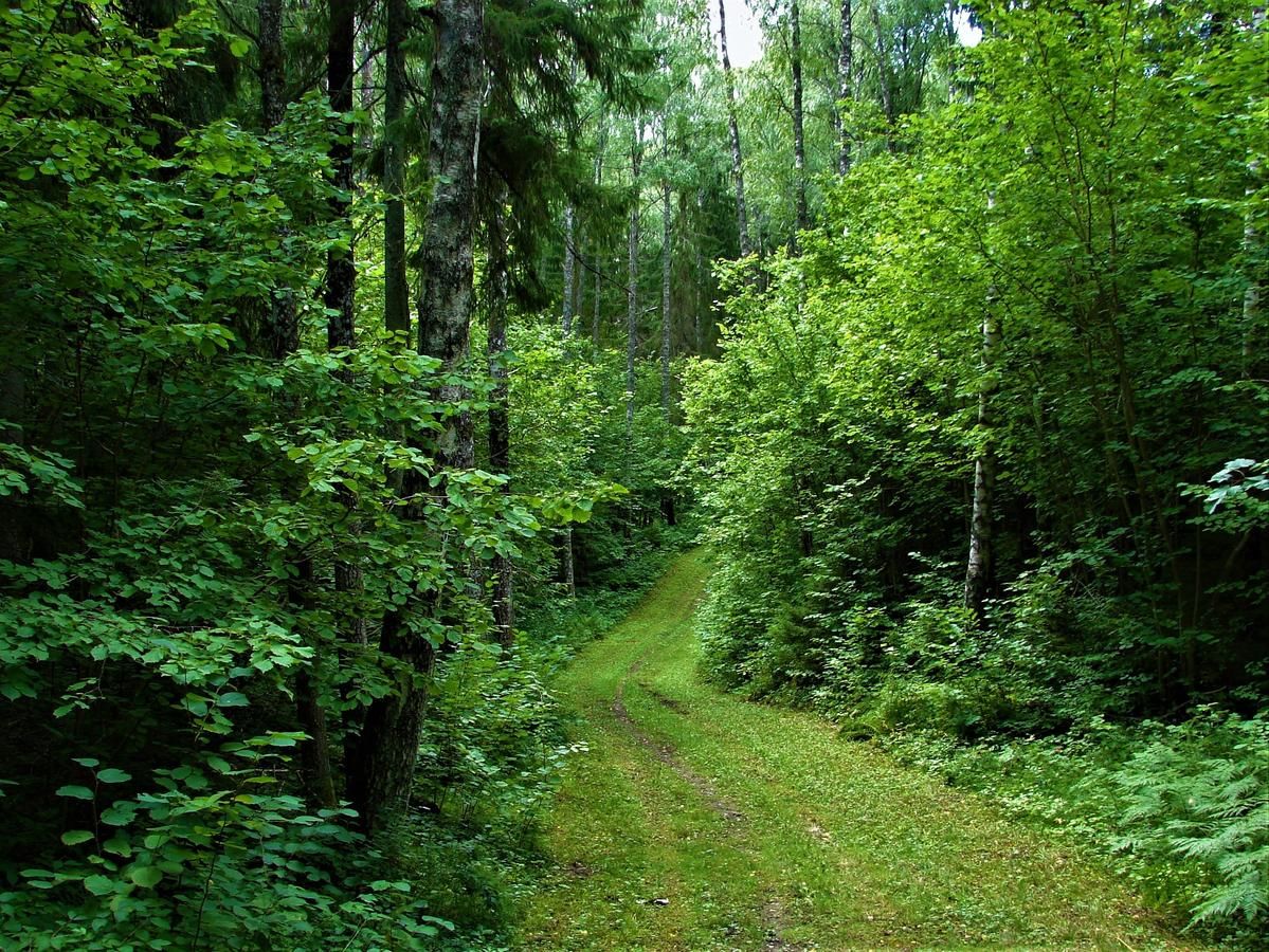 Отель Holstre-Polli Holiday Centre Viisuküla-19